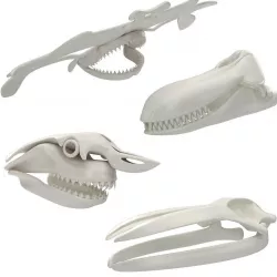 Skulls of Great Water Animals 3D Model Collection