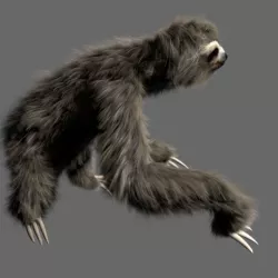 Sloth Low-poly  3D model