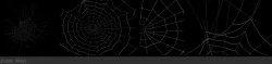 Spider Web 3D model