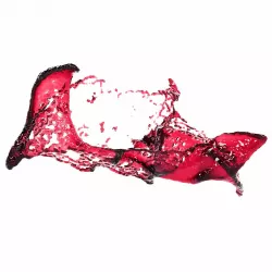 Splash 3 3D model