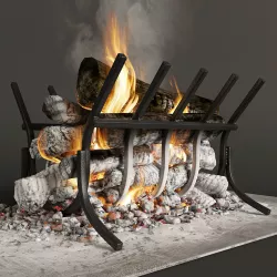 The Fire 3D model