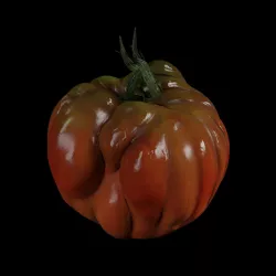 Tomato 3D model