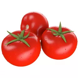 Tomato 3D model