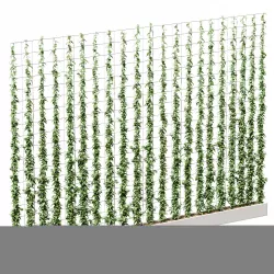 Wall of ivy leaves 3D model