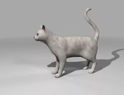 White Cat Rigged Low-poly  3D model