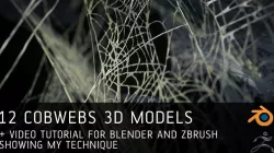 12 Cobwebs 3D models with tutorial for Blender and Zbrush 3D model