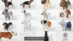 12 low poly Dog Pack  3D Model Collection