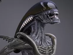 Alien Xenomorph High Detail 3D model