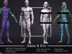 Basemesh Set - Adam and Eve 3D model