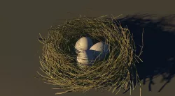 Bird Nest 3D model