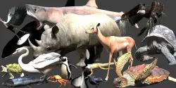 Blender living thing pack Low-poly  3D model