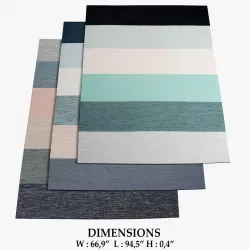 Boa Rugs 171 3D model