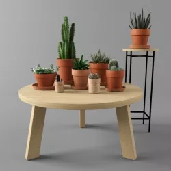 Cactus set 3D model