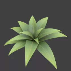 Cartoon bush 3D model