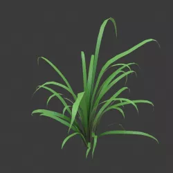 Cartoon grass 3D model