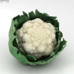 Cauliflower 3D model