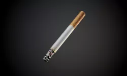 Cigarette with Alpha Mask Seamless PBR Texture  Texture