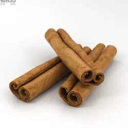 Cinnamon Sticks 3D model
