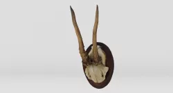 Deer Antlers Low-poly  3D model