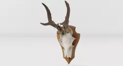 Deer Head Low-poly  3D model