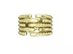 DY Ring 3D model