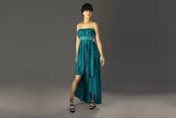 Evening Dress in 3DS Max  - Marvlous Designer -  vray 3D model