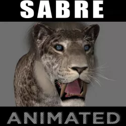 Female Sabretooth - 3d animated model 3D model