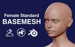 Female Standard BASEMASH Low-poly  3D model