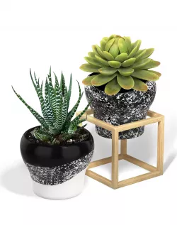 Flower Pot with a Wood Cube Frame 3D model
