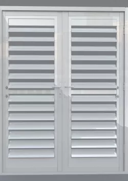 French shutter door 3D model
