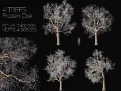 Frozen Oak Tree 3D model