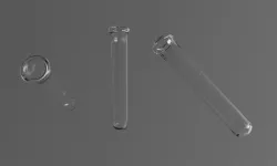 glass test-tube 3D model