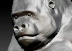 Gorilla 3D print model