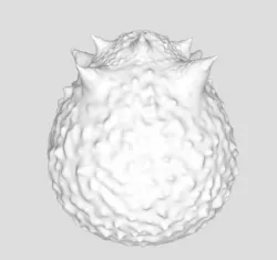 Horned Egg 3D print model