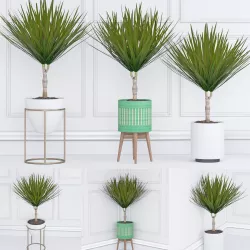 Houseplant 33 3D model
