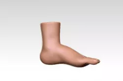 Human Feet 3D model