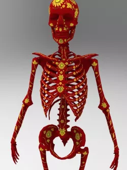 Humanoid rig low poly skeleton Low-poly  3D model