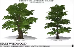Low Polygon Horse Chestnut Trees  Low-poly  3D model