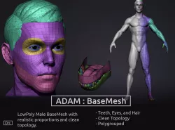 Male BaseMesh - LowPoly 3D model
