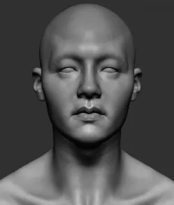 Male Head 3D model