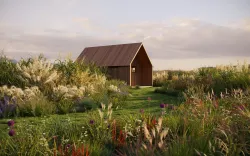 Miscanthus grass collection by Maxtree Vol20 3D model