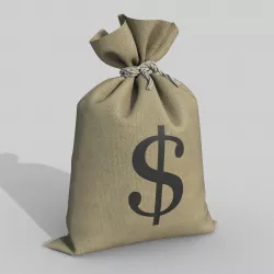 Money Bag 3D model