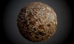 Muddy Stones Ground Seamless PBR Texture Texture