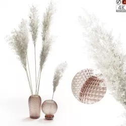 Pampas Grass In Glass Vases 01 3D model