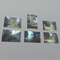 Photos Low-poly  3D model
