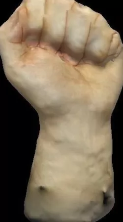 Pickled Human Hand 3D model