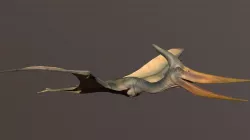 Pteranodon Low-poly  3D model