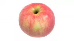 Red Apple 3D model