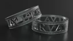 RING Salva et serva 3D print model