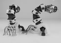 Robotic Arm - 3D model 3D model